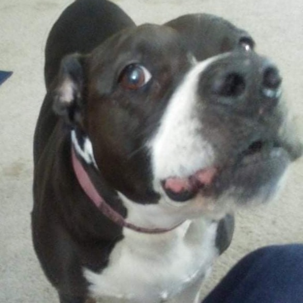 Meet your Posher, Beth